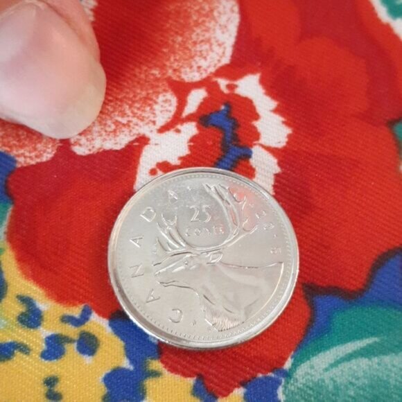 Oroton Italian Floral Scarf with Polka Dot Border - Picture 8 of 8